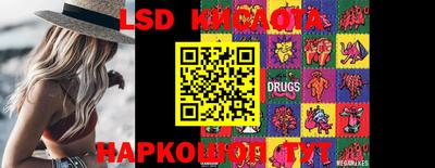 шишки Кингисепп