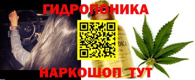 jwh Кимры