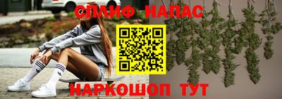 шишки Кингисепп