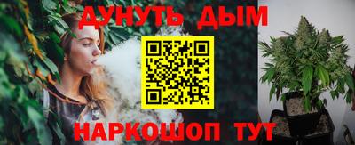 шишки Кингисепп