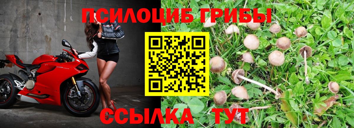 Старая Русса  сколько стоит  Вход с VPN  Галлюциногенные грибы Psilocybe  Галлюциногенные грибы мухоморы 
